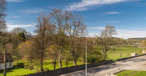 View from plot 7