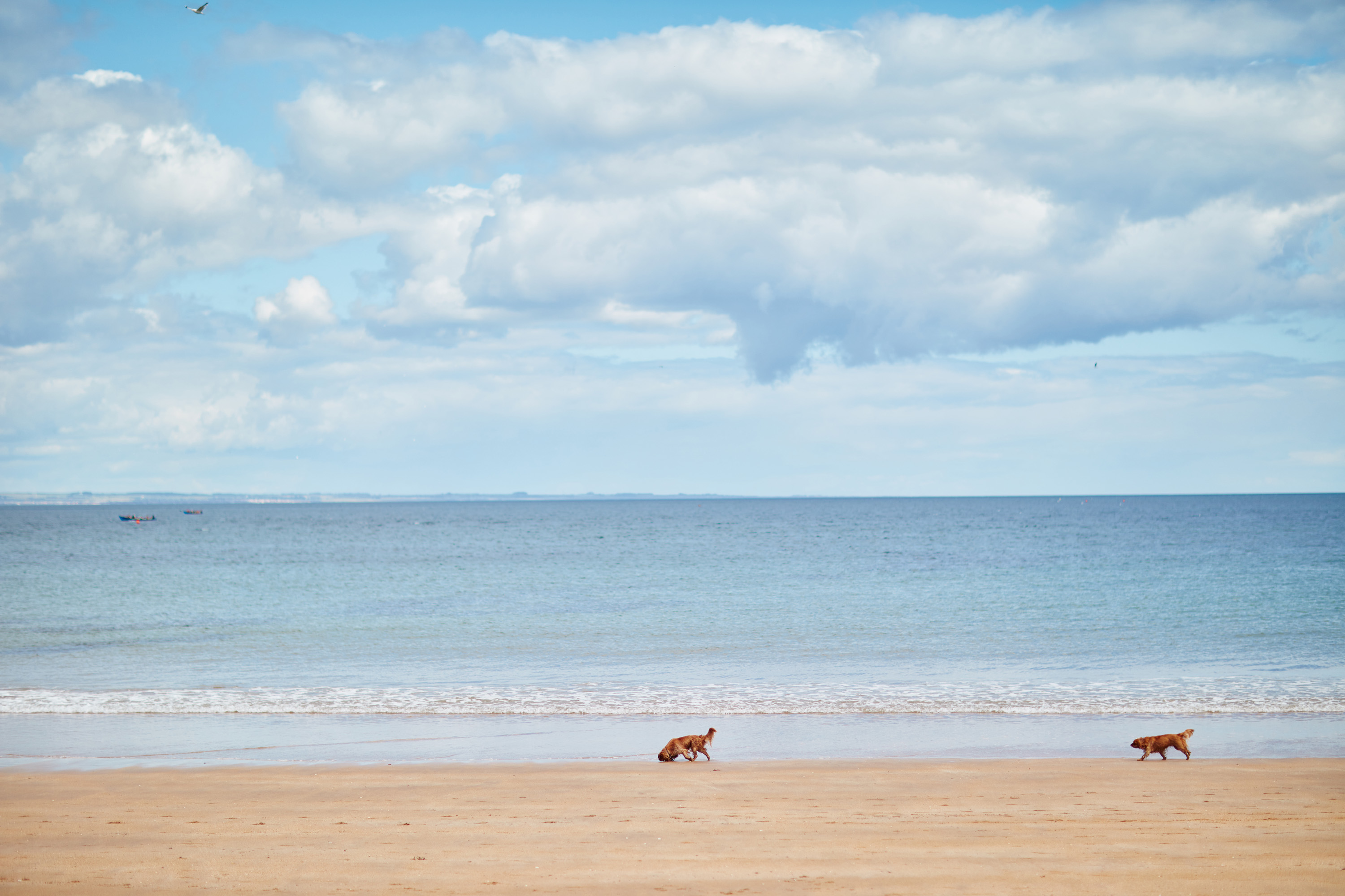 East Lothian beach