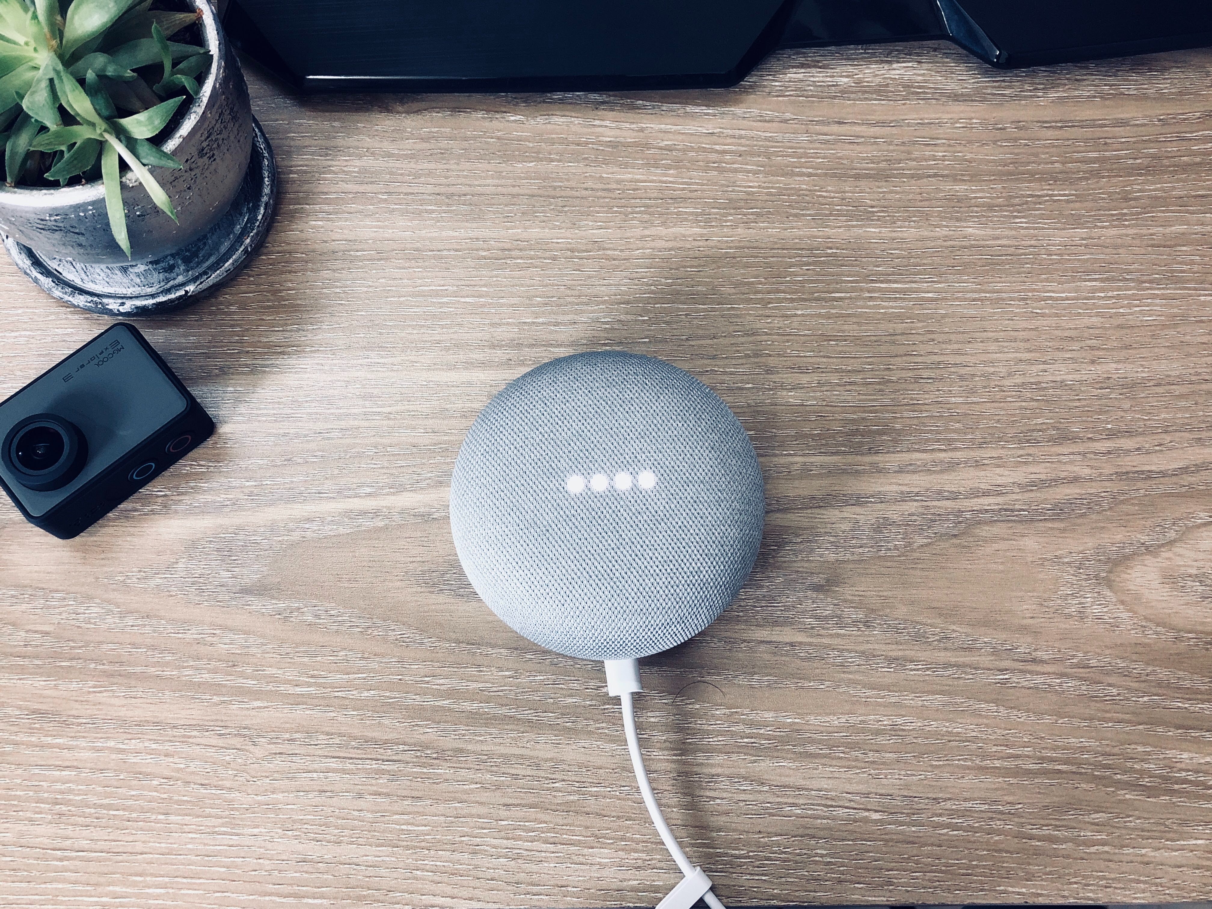 smart speaker