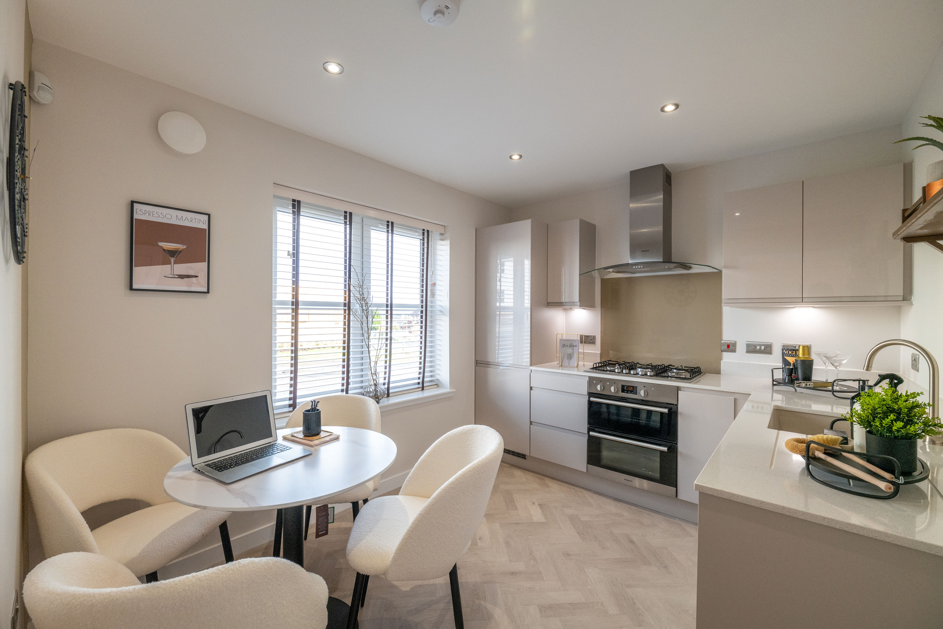 Cleddans Grove Show home 