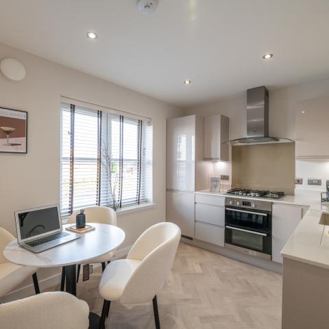 Cleddans Grove Show home 