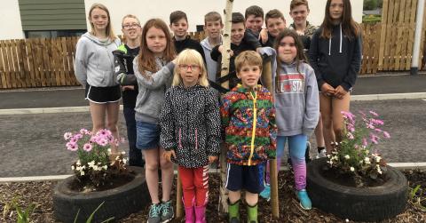 Winning street with donated of plants