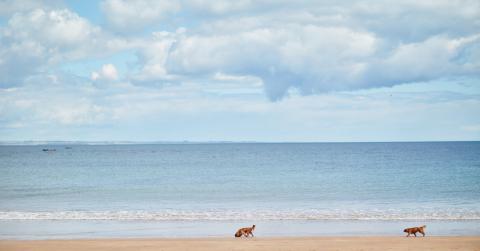 East Lothian beach