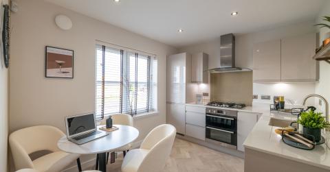 Cleddans Grove Show home 